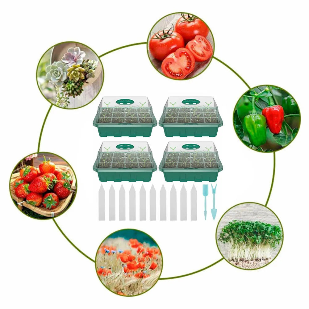 4 Mini-Gewächshäuser für Pflanzen