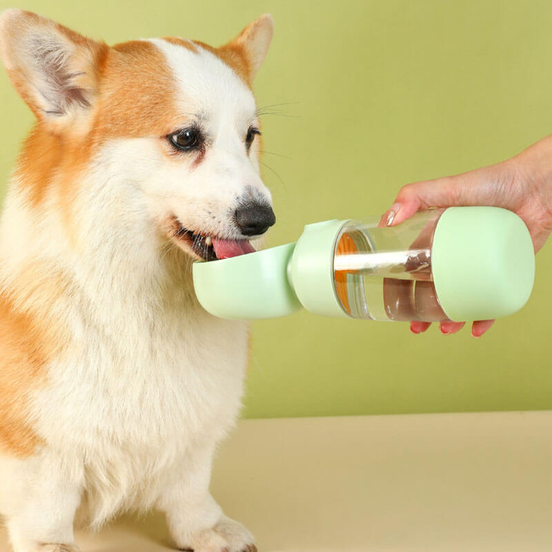 Tragbare Hunde-Wasserflasche