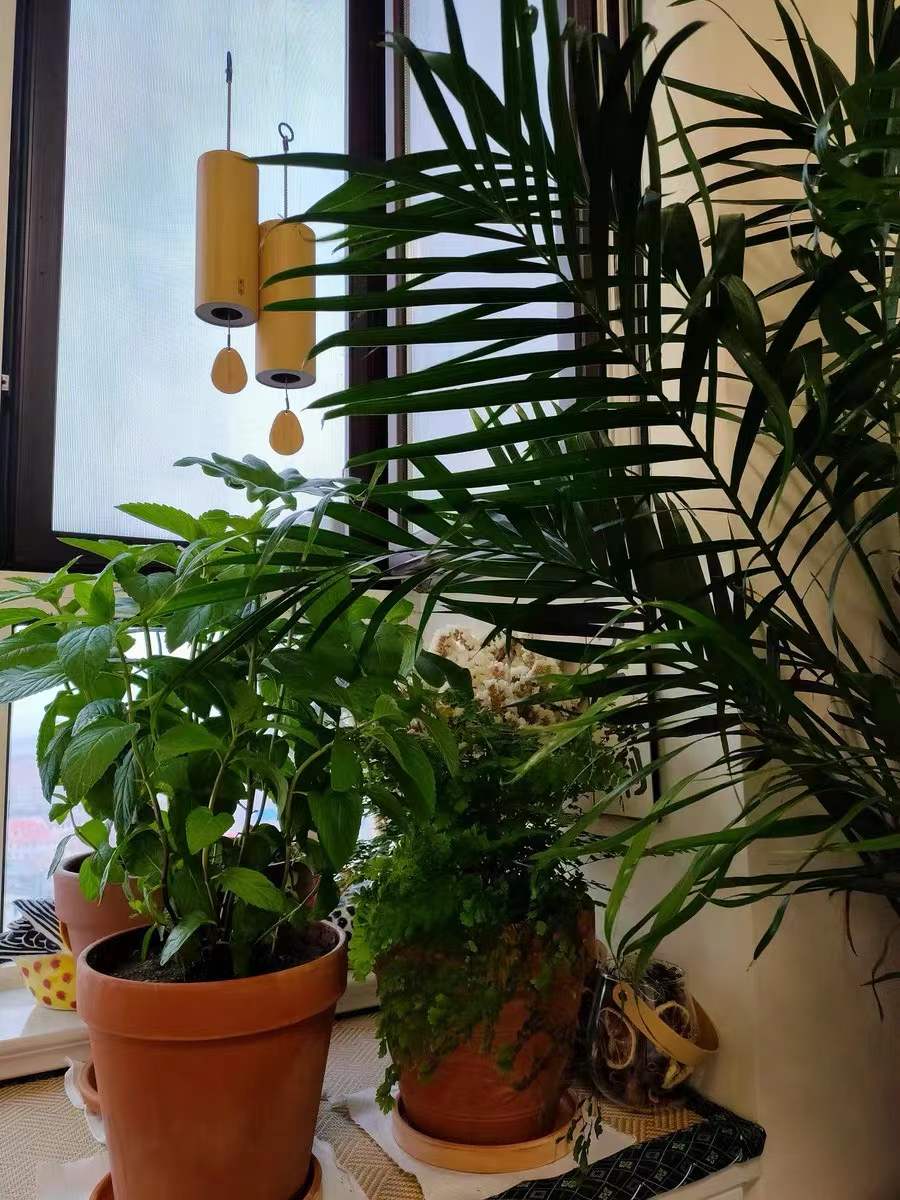 Entspannende Bambus-Windspiele